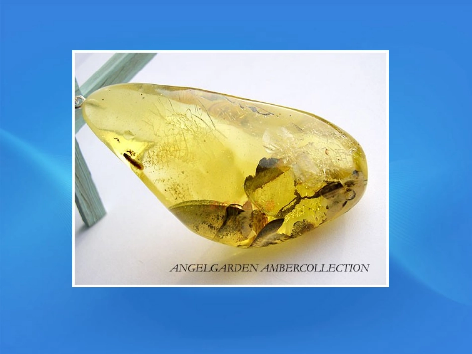 高中英语 Unit1 Reading II课件2 新人教版必修2 课件_第3页