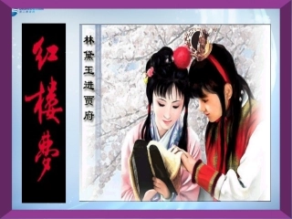 高中语文 11林黛玉进贾府课件