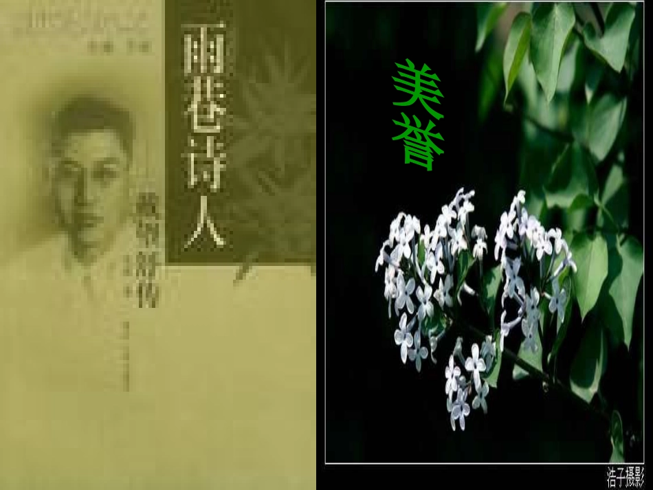 高中语文(雨巷)课件3 新人教版必修1 课件_第3页