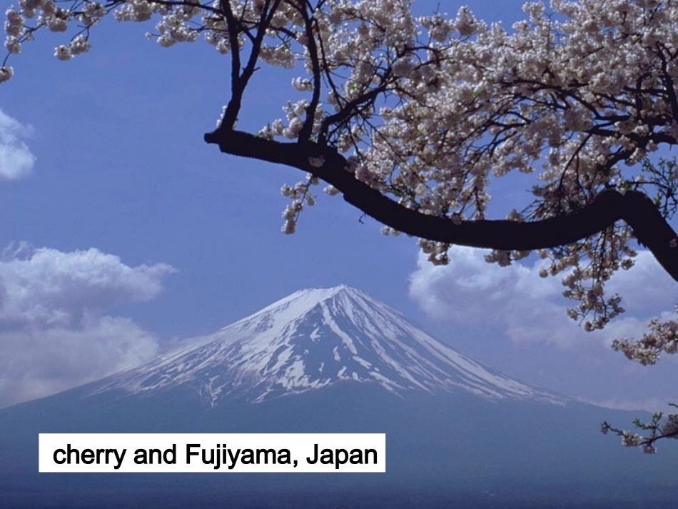 高二英语第15单元课件warming up 人教版 课件_第3页