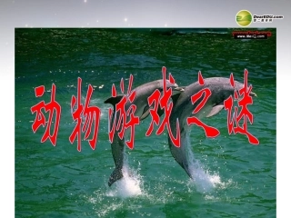 高中语文 动物游戏之谜课件 新人教版必修3 课件