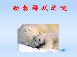 高中语文 (动物游戏之谜)精品课件 新人教版必修4 课件