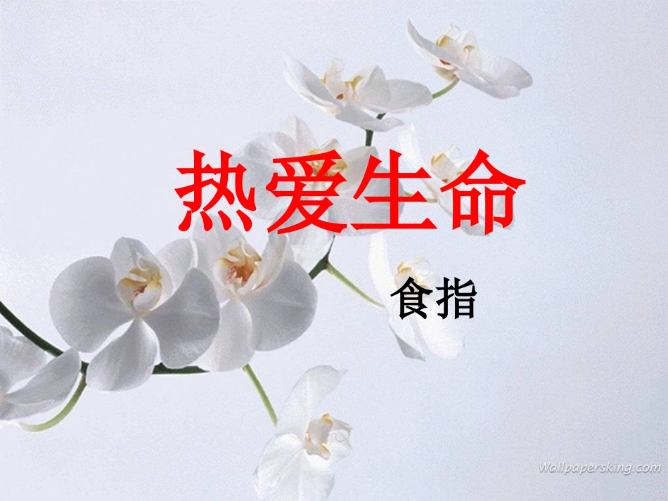 高中语文(热爱生命)课件 粤教版必修2 课件_第1页