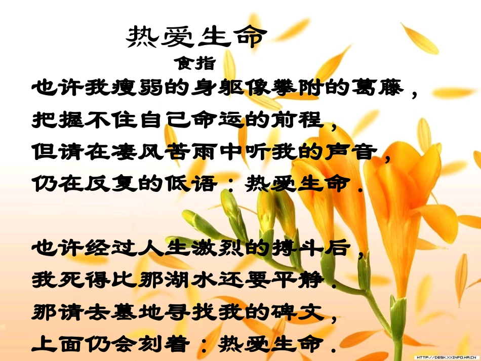 高中语文(热爱生命)课件 粤教版必修2 课件_第3页