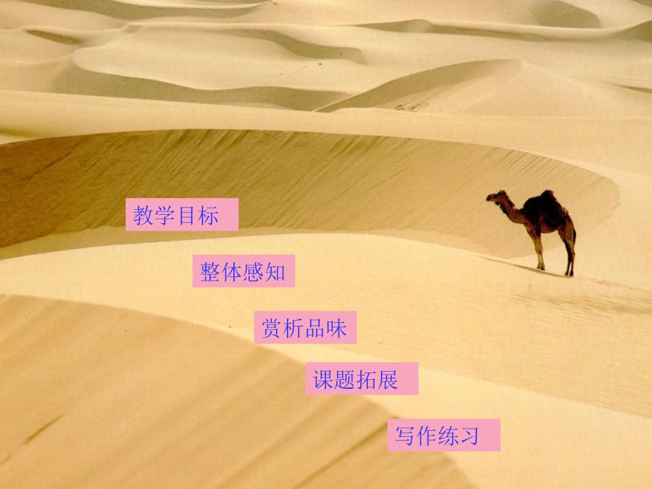 高中语文 第三单元第10课(汉家寨)课件 语文版必修5 课件_第3页