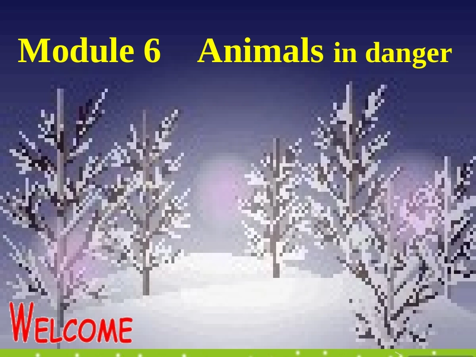 高中英语 Module 6(Animals in Danger)课件 外研版必修5 课件_第1页