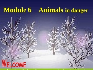 高中英语 Module 6(Animals in Danger)课件 外研版必修5 课件