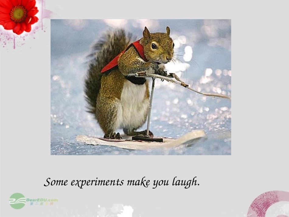 高中英语 Unit5 Lesson 19 Experiment in Folk课件 北师大版必修2 课件_第3页