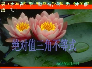 高中数学 (绝对值三角不等式)课件 新人教A版选修4-5 课件