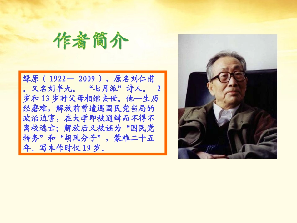 高中语文 (憎恨)课件2 新人教版选修(中国现代诗歌散文欣赏) 课件_第3页