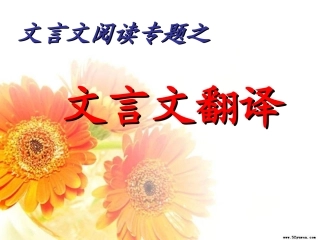 高考语文 文言文阅读专题之文言文翻译复习课件 新人教版 课件