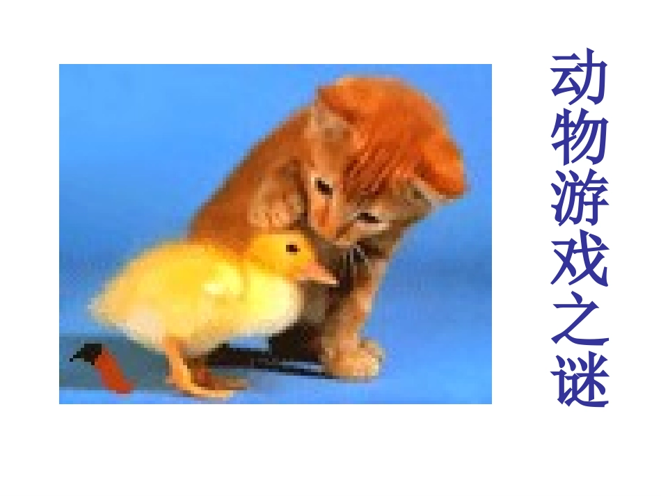 高中语文 第四单元 12动物游戏之谜精品课件 新人教版必修3 课件_第1页