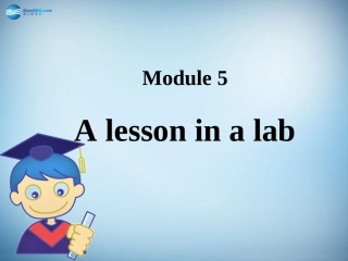高中英语 ModuLe 5 A Lesson in a Lab Grammar课件 外研版必修1 课件