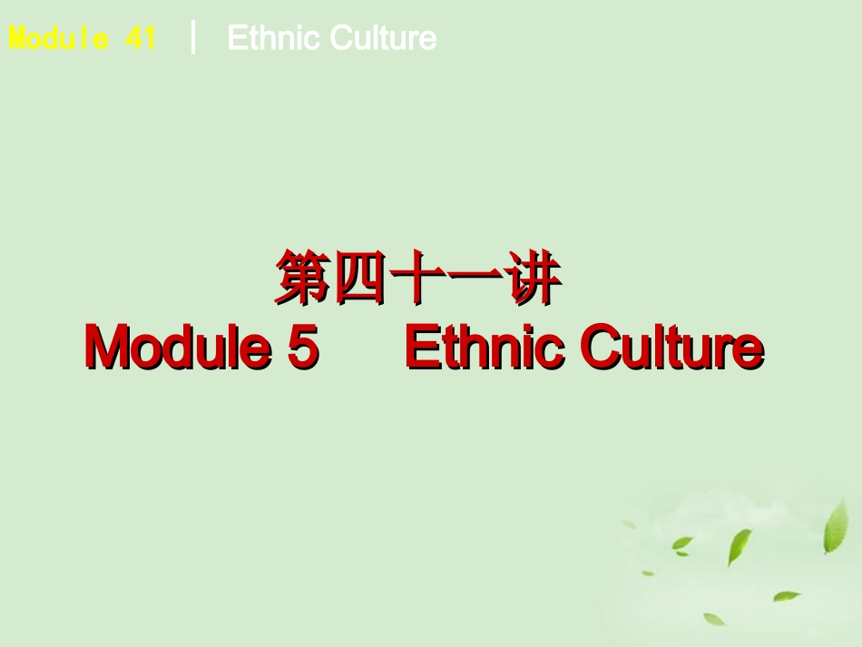 高中英语 Ethnic Culture课件 外研版选修7 课件_第2页