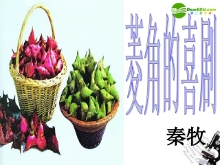 高中语文 第三单元之(菱角的喜剧)课件 粤教版必修2 课件