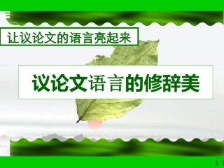 高考语文 议论文语言的修辞美复习课件 新人教版 课件