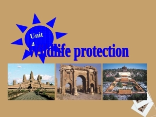 高中英语 Unit4 Language points课件 新人教版必修2 课件