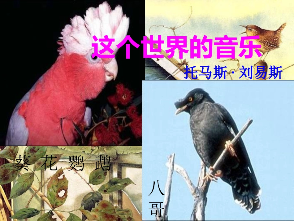 高一语文下册(这个世界的音乐)课件 人教版第二册 课件_第1页
