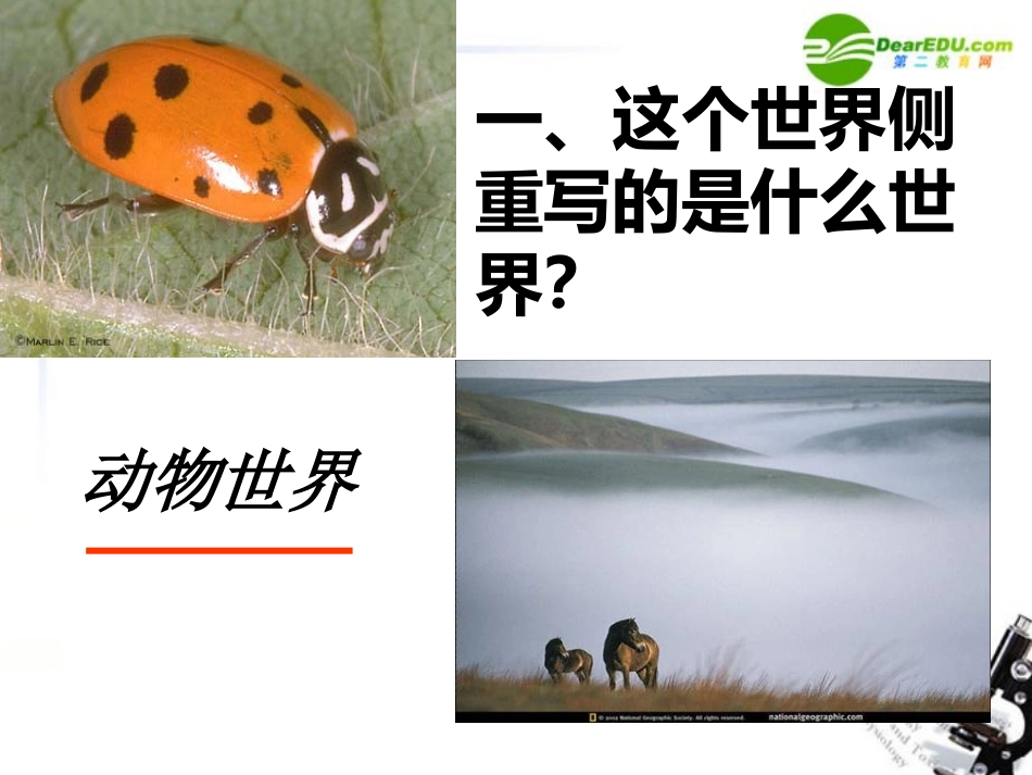 高一语文下册(这个世界的音乐)课件 人教版第二册 课件_第2页