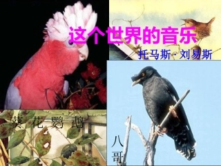高一语文下册(这个世界的音乐)课件 人教版第二册 课件