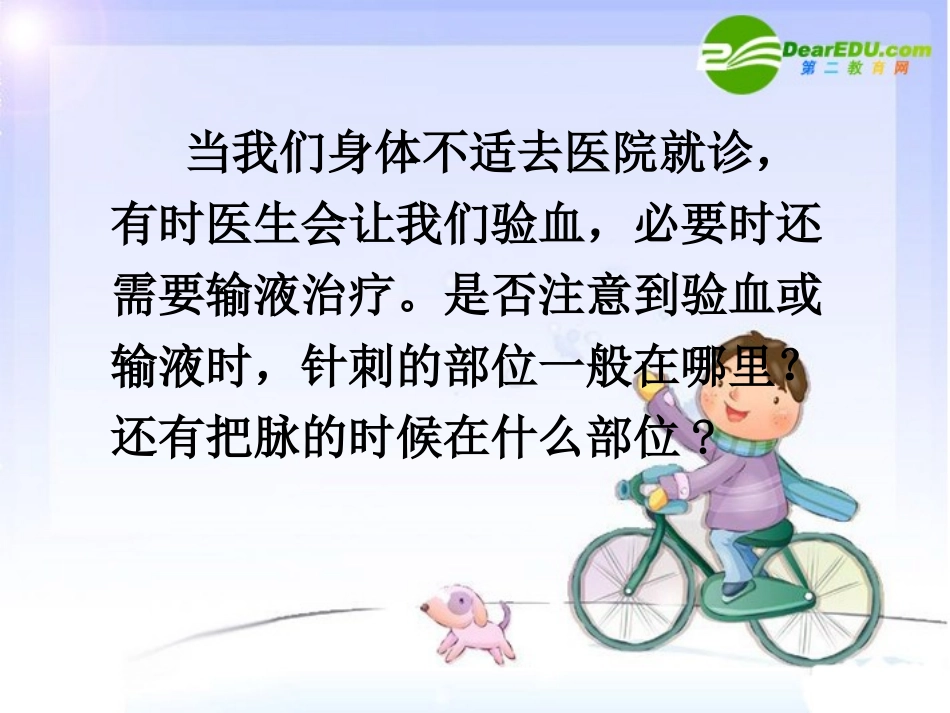 辽宁地区七年级生物下册 血流的管道--血管课件 人教版 课件_第2页