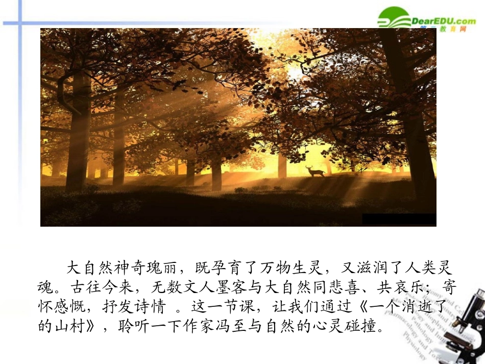 高中语文 第2单元第5课(一个消逝了的山村)课件 语文版必修1 课件_第2页