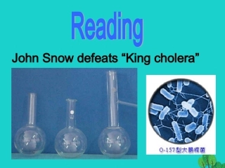 高中英语(Unit 1 Great scientists)reading课件 新人教版必修5 课件