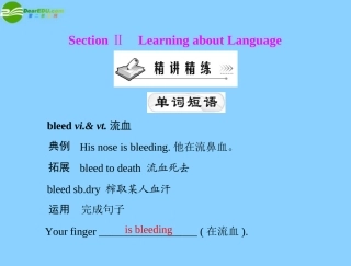 高中英语 Unit 5 Section Ⅱ Learning about Language课件 新人教版必修5 课件
