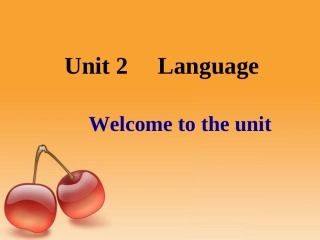浙江地区高一英语Unit2 Language 课件