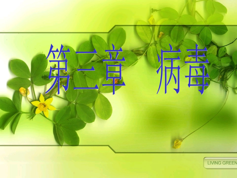 没有细胞结构的微小生物病毒七年级生物上册 课件_第2页