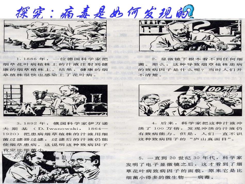 没有细胞结构的微小生物病毒七年级生物上册 课件_第3页