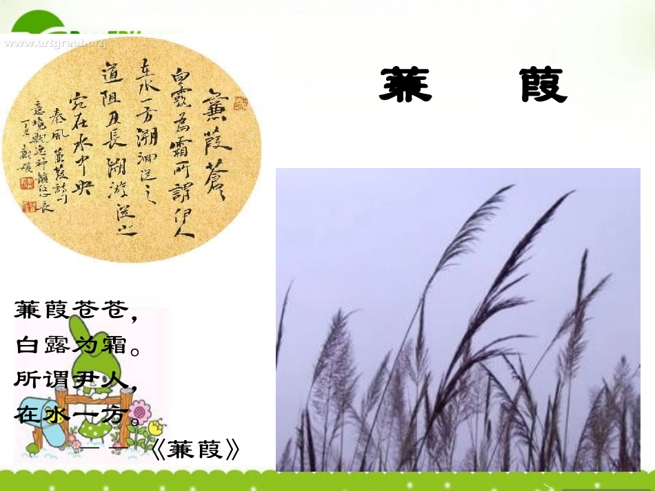 高中语文 4141(静女)课件(2) 粤教版必修1 课件_第2页