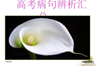 高考语文 病句辨析汇总课件