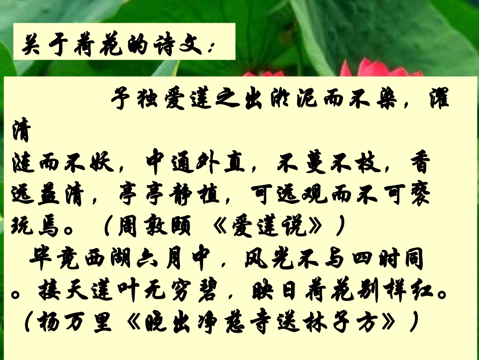 高中语文 荷塘月色6课件 新人教版必修2 课件_第2页