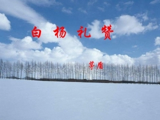 白杨礼赞 课件示例 课件