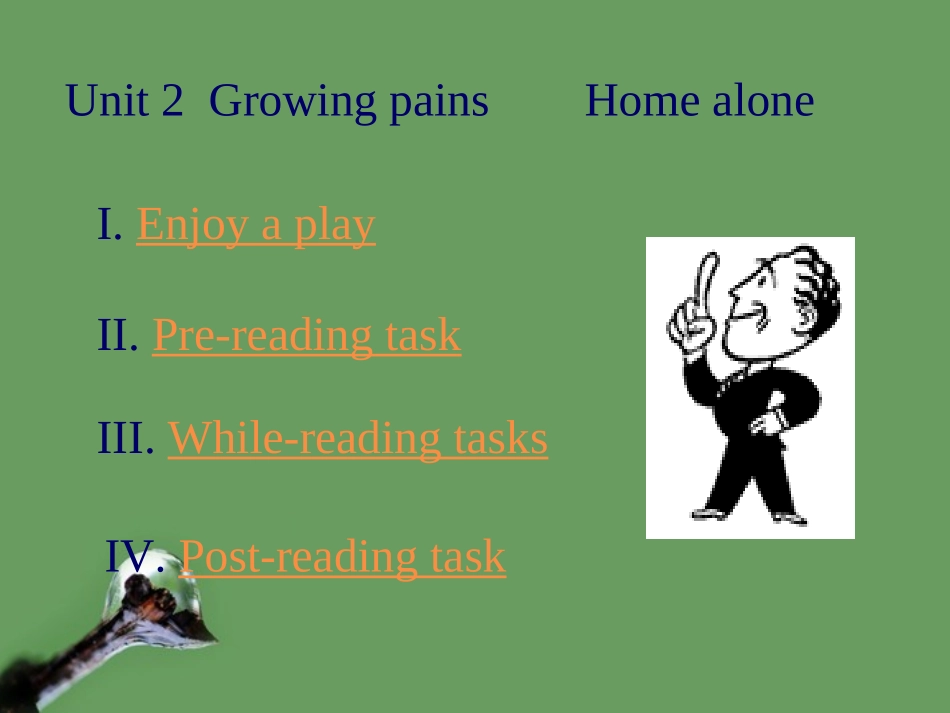 高中英语 home alone DH课件 牛津版 课件_第1页