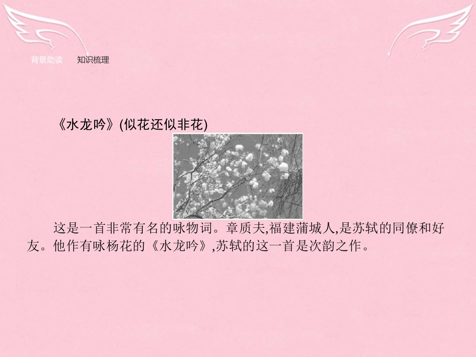 语文9.2水龙吟似花还似非花卜算子缺月挂疏桐课件苏教版选修唐诗宋词蚜 课件_第2页