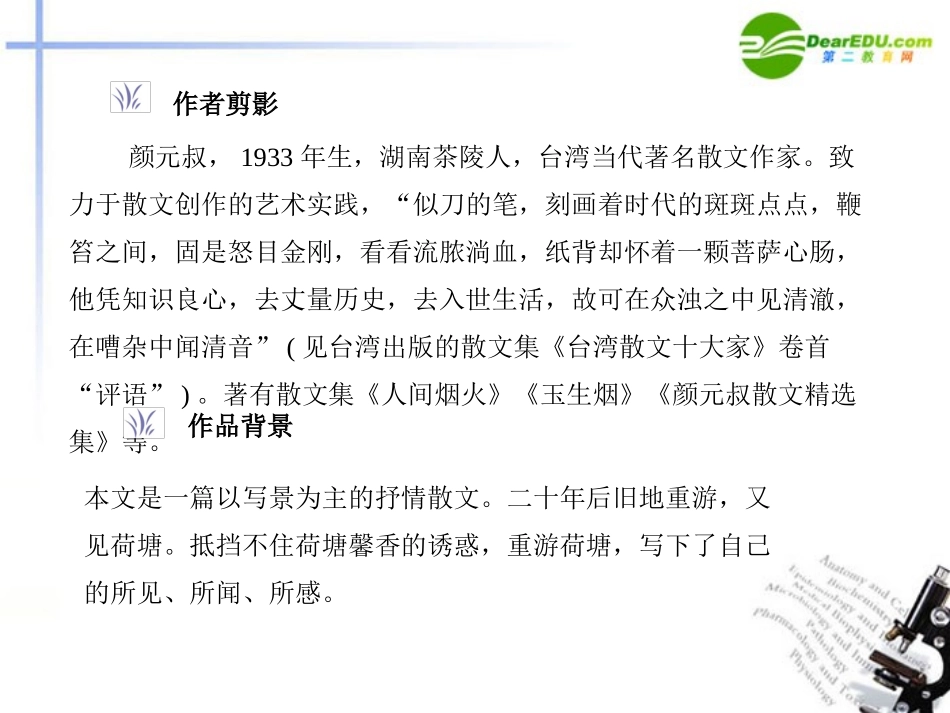 高中语文 自读文本-荷塘风起课件 鲁人版必修1 课件_第2页