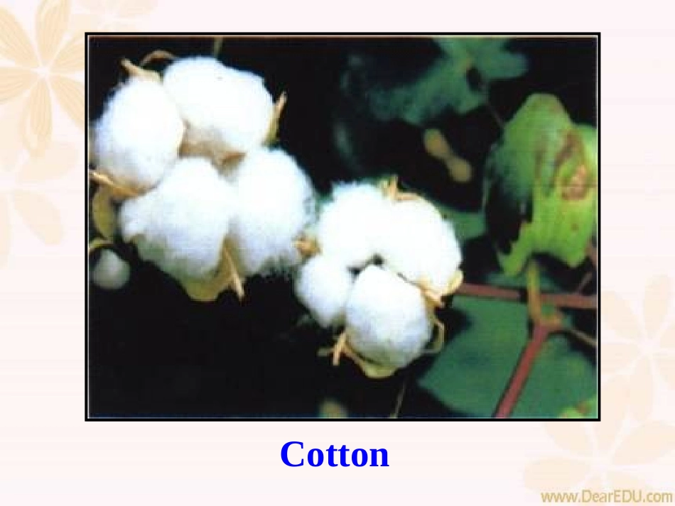 高一英语Unit2 working the land 人教版 课件_第3页