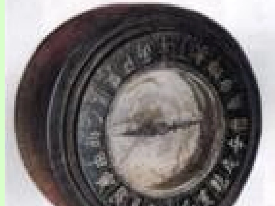 高中语文苏教版必修三东方和西方的科学课件二 苏教版 课件_第2页