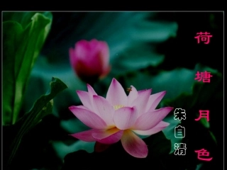 高中语文(荷塘月色)课件 新人教版必修2 课件