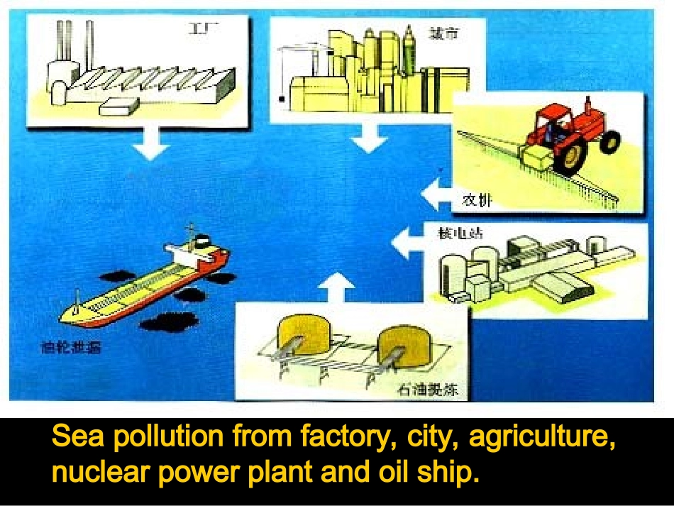 高中英语模块三 Unit 7 The sea Lesson 26 protecting the sea 精品课件1(北师大版)_第3页