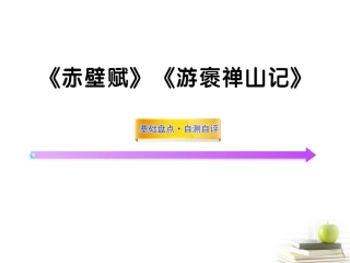 高中语文全程复习方略(赤壁赋)(游褒禅山记)课件 新人教版必修2(湖南专用) 课件