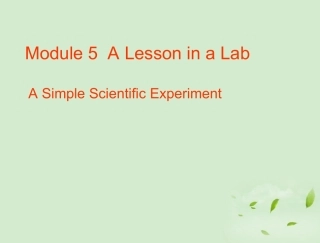 高中英语 Module5 Reading课件 外研版必修1 课件