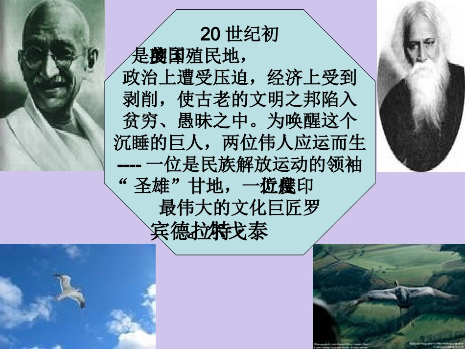 高中语文第四单元8素芭课件新人教版外国小说欣赏 课件_第2页