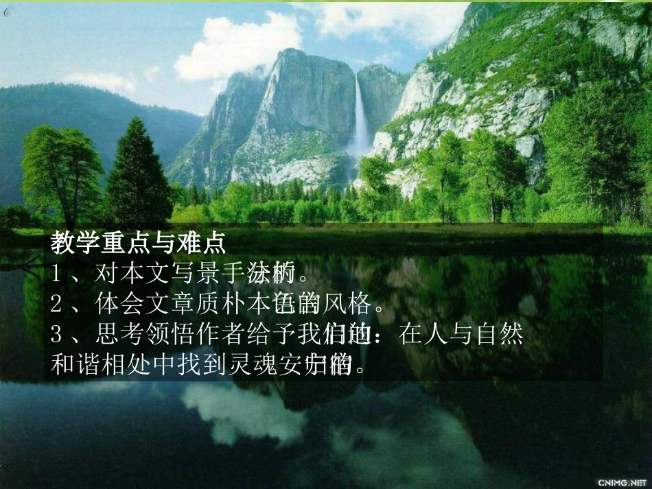 高考语文 (神的一滴)精品课件_第3页