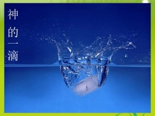 高考语文 (神的一滴)精品课件