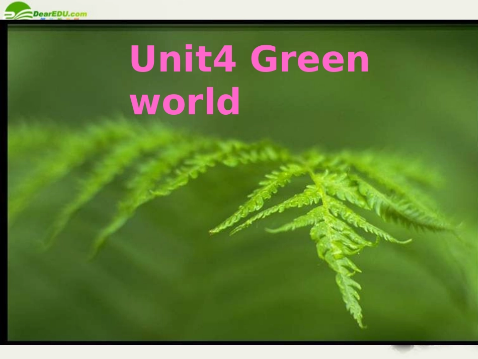 高三英语 unit4 Warming up and speaking课件 人教版 课件_第1页