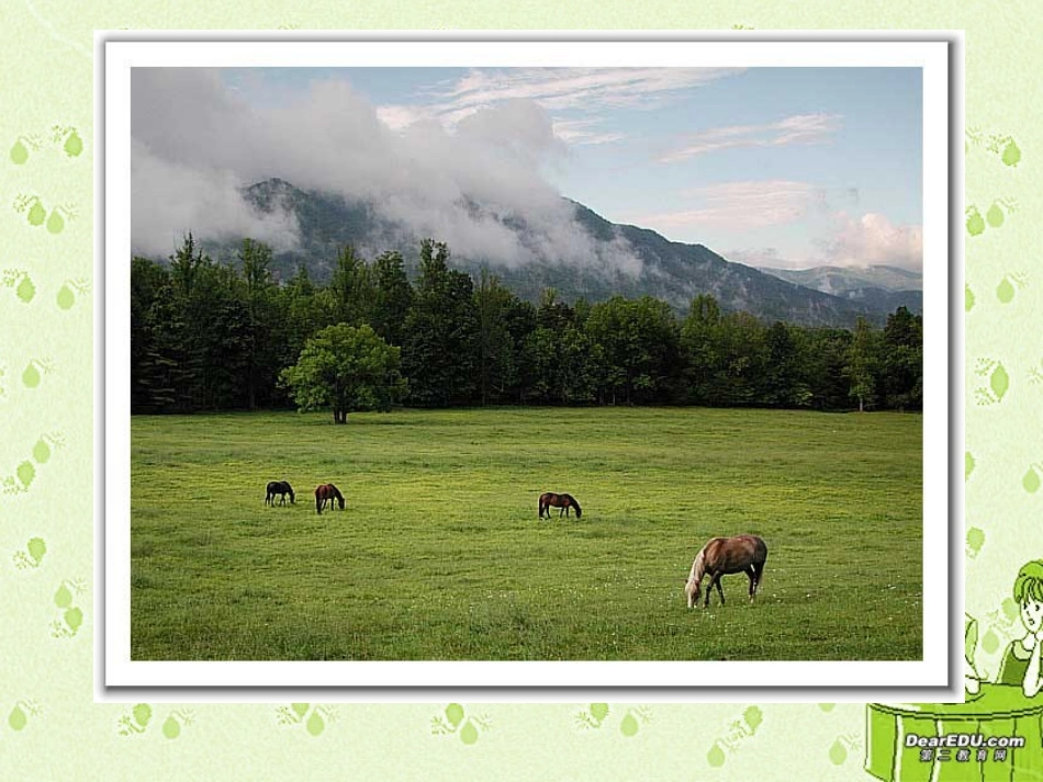 第一节 新陈代谢与酶 高二生物第三章 生物的新陈代谢课件一[整理四课时]新课标 高二生物第三章 生物的新陈代谢课件一[整理四课时]新课标_第2页