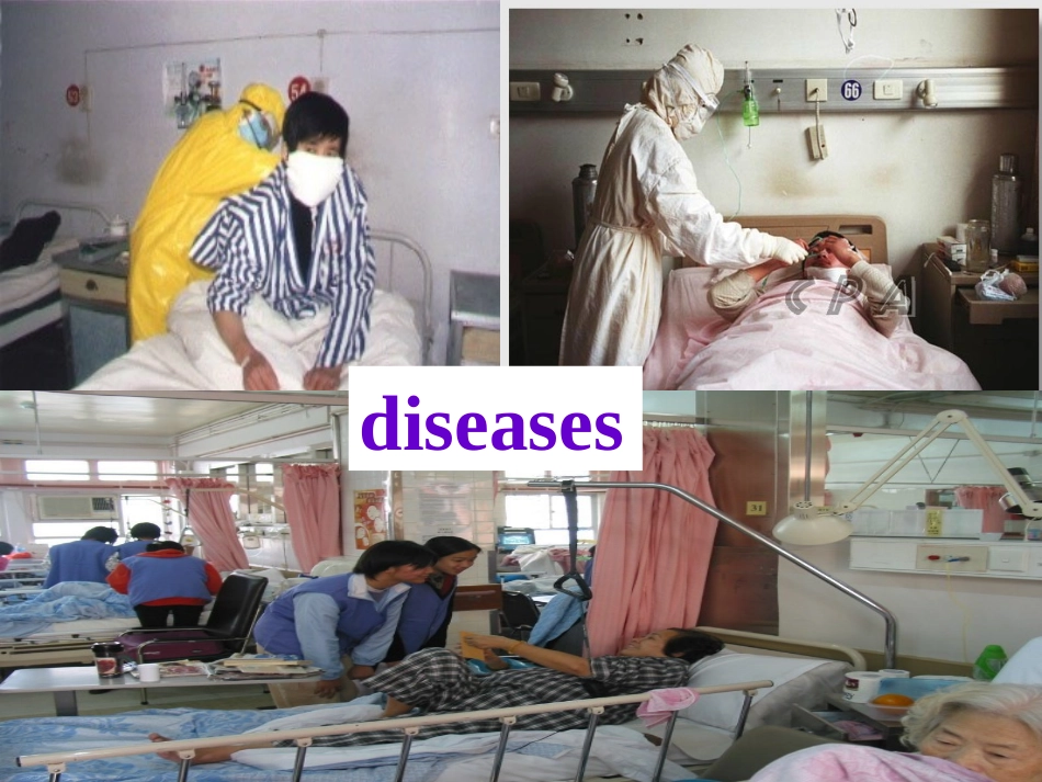 高三英语Unit9 Health care课件 新课标 人教版 课件_第3页